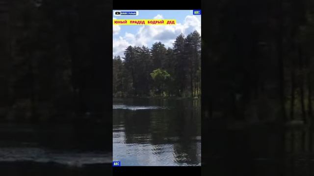 Плавание в прохладной воде #юныйпрадедбодрыйдед #бодрыйдедза65лет #производствостанков