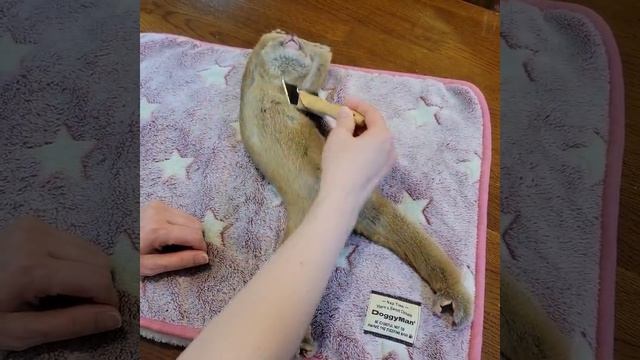 Приятного отдыха!😊
