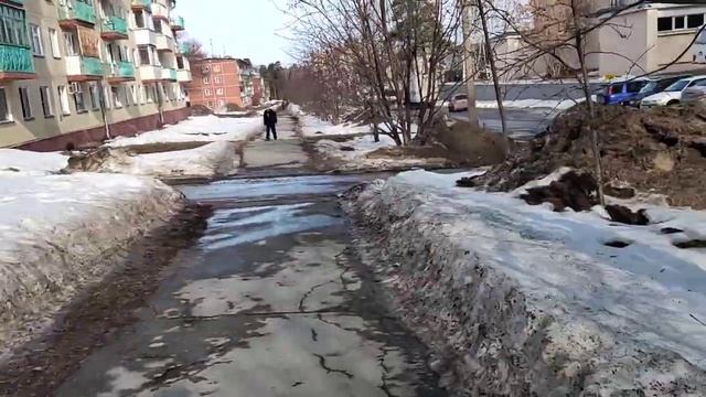Голубь 🕊️, который умер как-то странно. Академгородо?