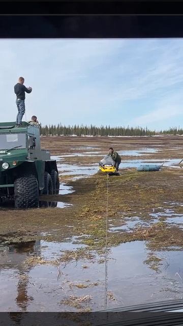 На болоте. #вездеходы