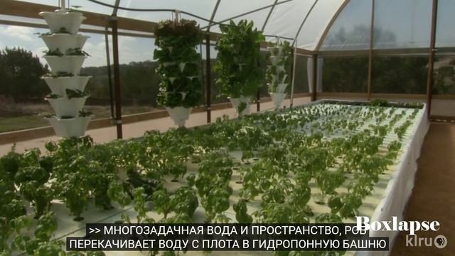 Тепличное Фермерство, выращивание зелени и рыборазведение.