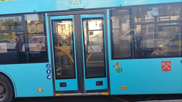 1 июня 2025 г. Автобус 328 маршрут МАЗ-203 8568 Колпино Улица Анисимова Дом 4