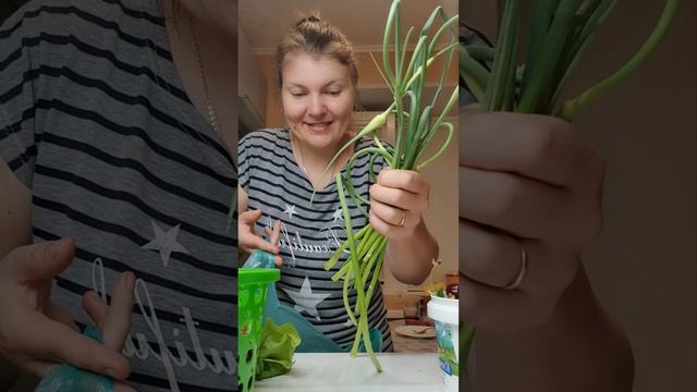 Урожай с дачи