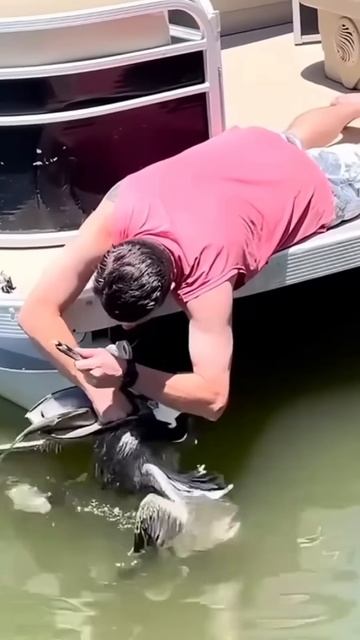 This man get free fish