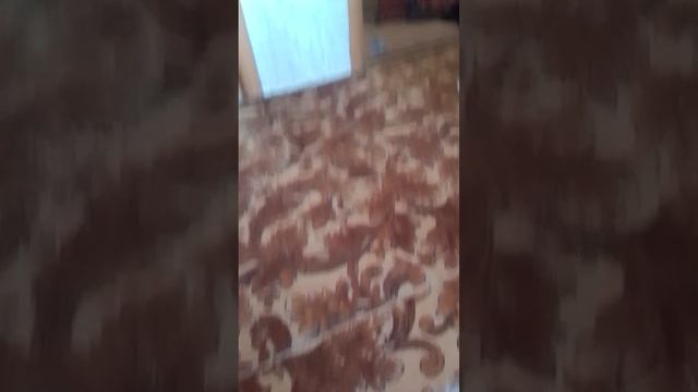 милый котик ( полная версия) 10 серии. 2 сезона