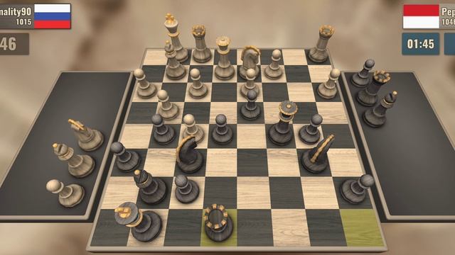 шахматы