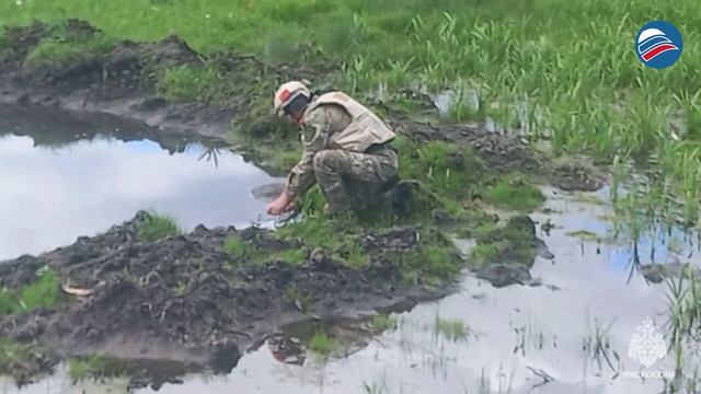 Более 200 боеприпасов обезврежено: работа пиротехников МЧС в Курской области
