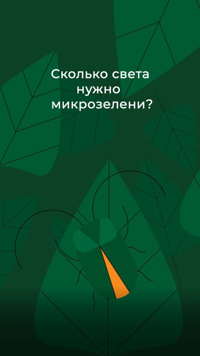 Сколько света нужно  микрозелени?