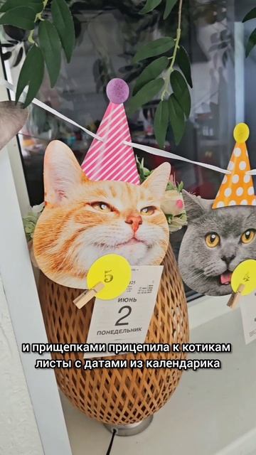 😺 Котоадвент на 6 дней в ожидании дня рождения