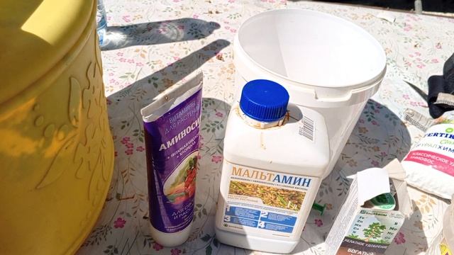 Подкормка лука Эксибишен после высадки в грунт.Подкормка клубники во время цветения