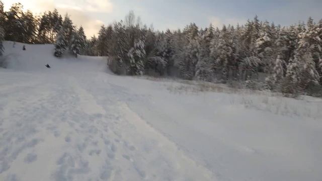 Солнечная погода в зимнем лесу и мы идем кататься на в?