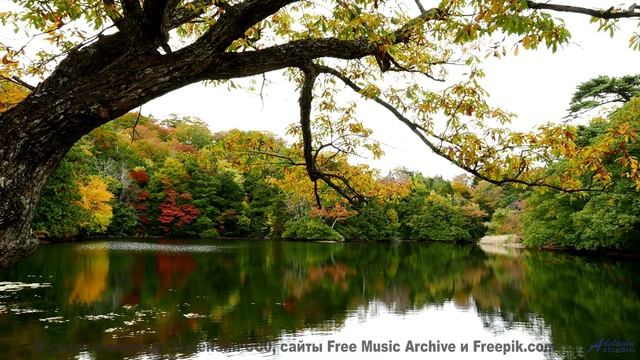 Леса превращаются в личный космос под эту мелодию - Not The Same -- Kirk Osamayo -- Season Two (GREE