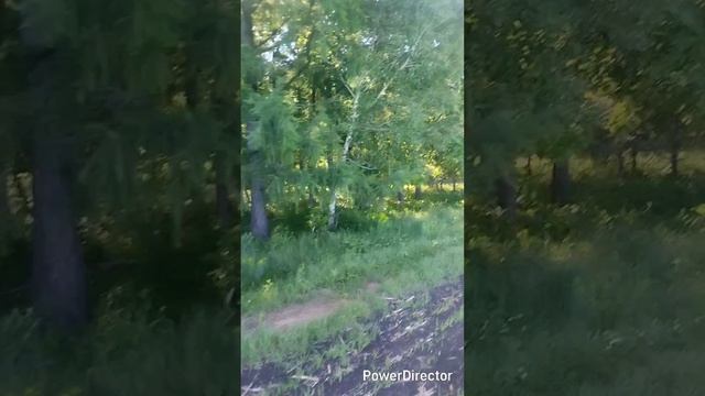 Скажи спасибо богу перед сном 🙏