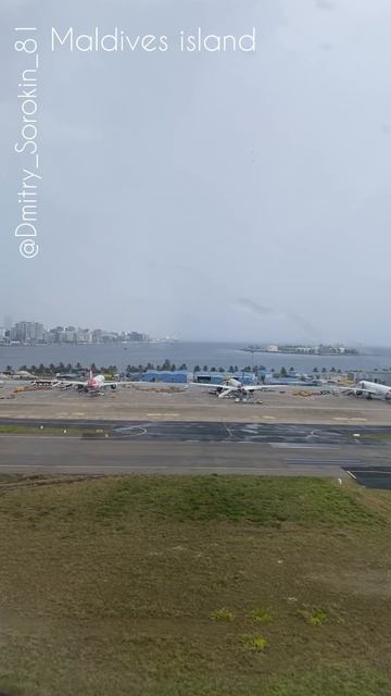 Остров нас встретил безмерной визуальной красотой, тропическим дождем и общительной вороной.