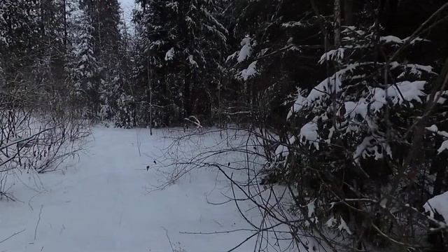 Первые лыжи осени 2022