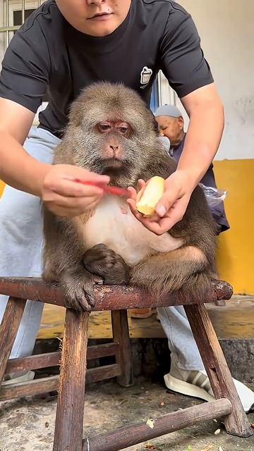 Xingxing_ Old Man Deng, you started eating again before everyone else!