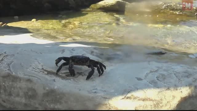 Любимое развлечение детей на море