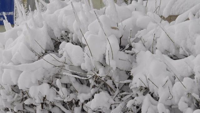Зима по городскому.