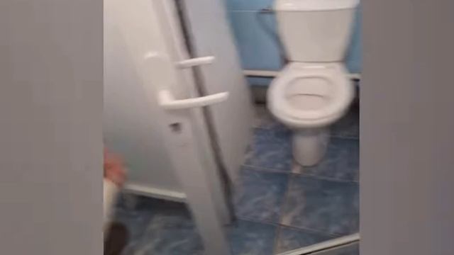 прикол