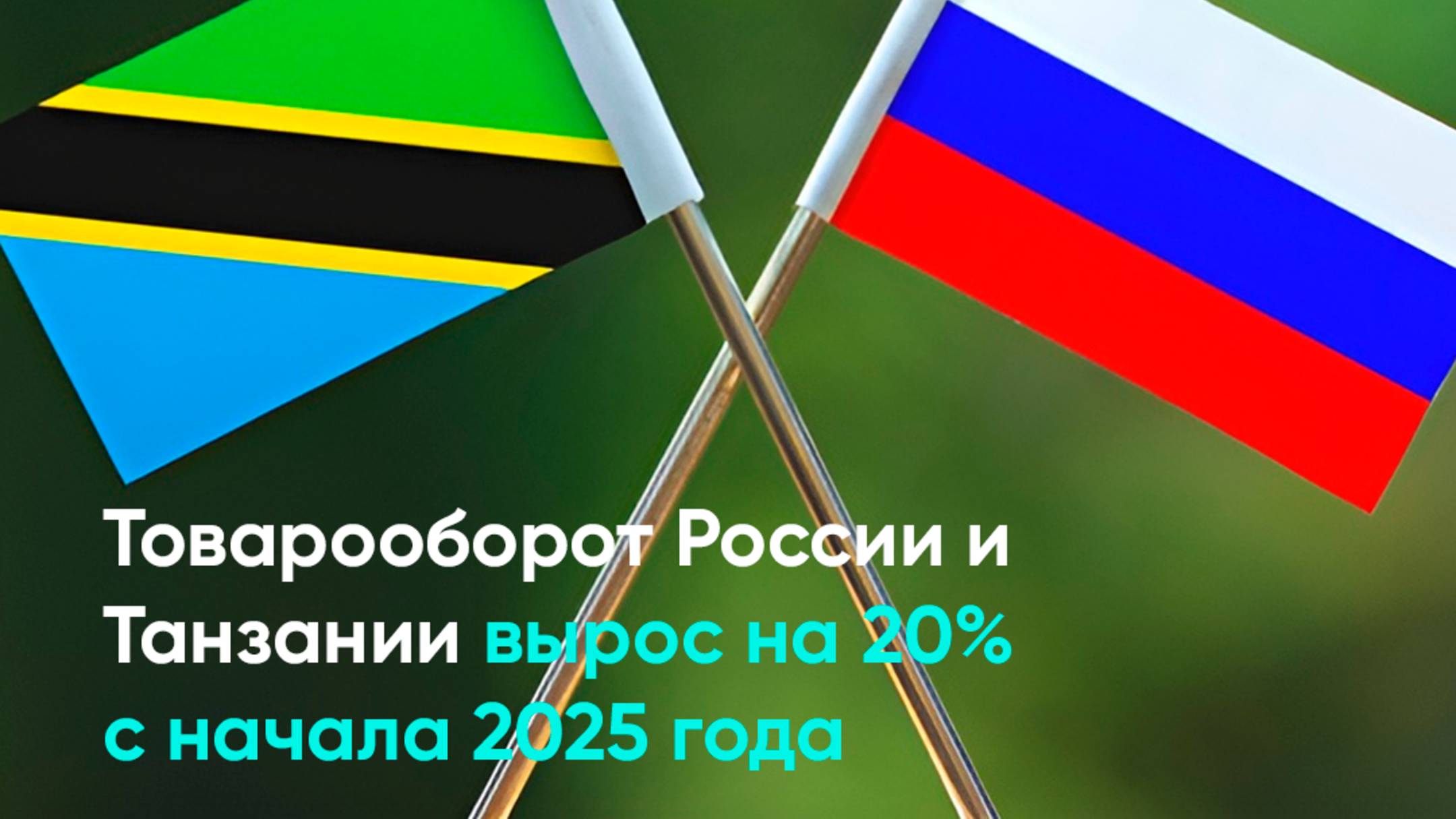 Товарооборот России и Танзании вырос на 20% с начала 2025 года