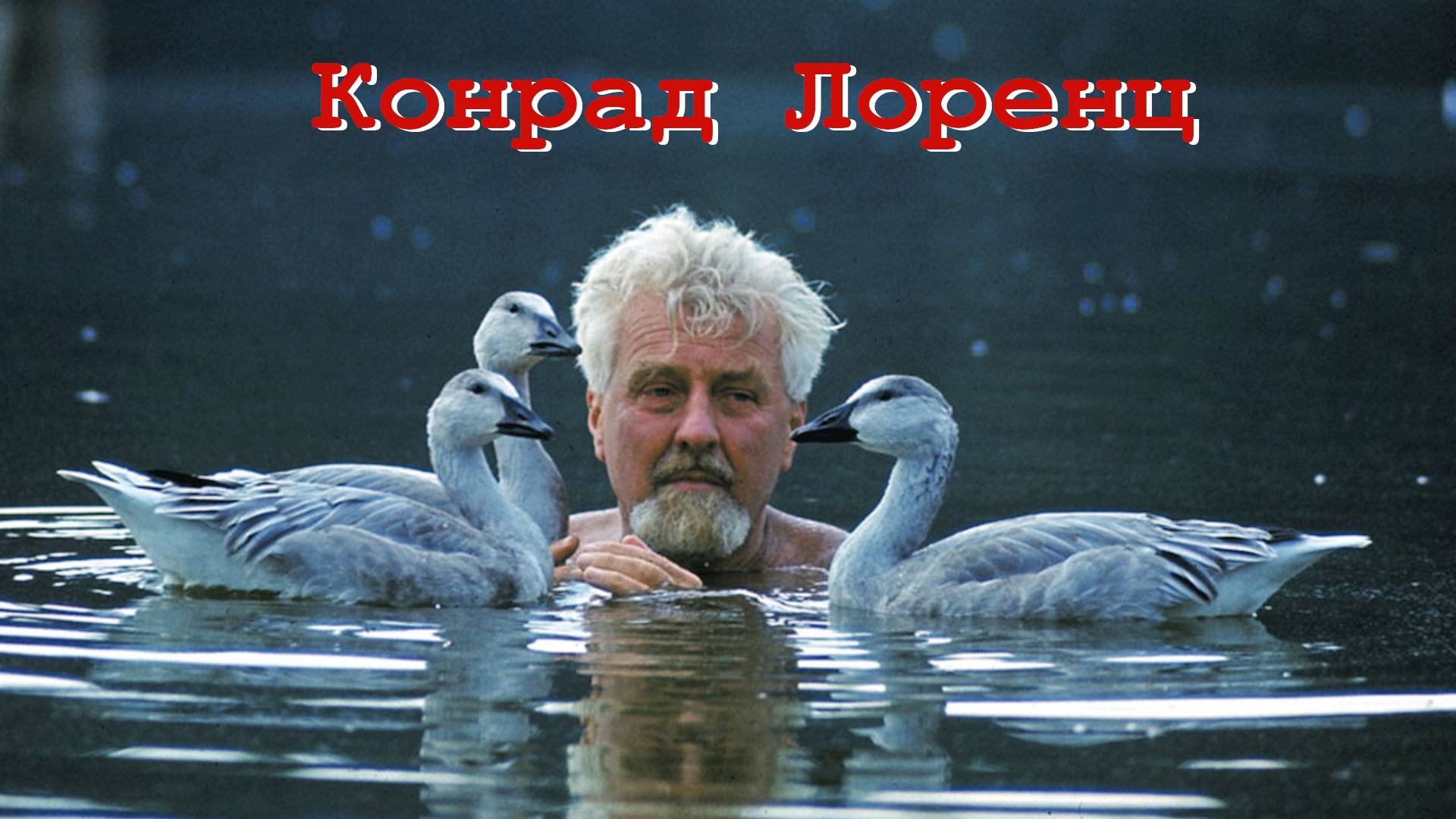 Конрад Лоренц. Этология