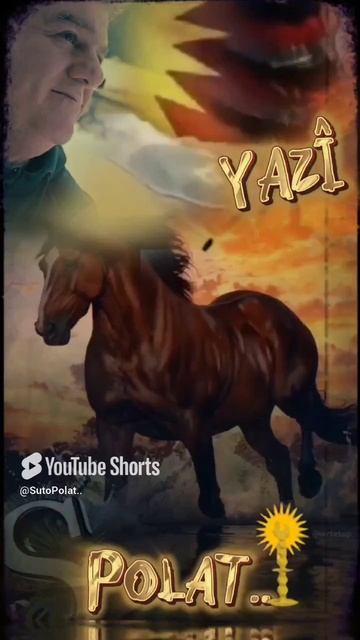 Suto Polat.. - Yazi ( Йази ) #top #story  #рек  #shorts