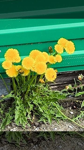ВСТРЯХНИ ЕГО ПО МАКСИМУМУ...