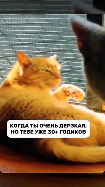 Когда ты очень дерзкая, но тебе уже 30+ годиков