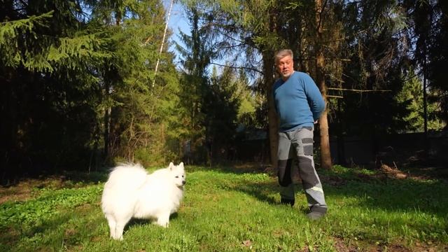 Поработали на грядках_ Надо позаботиться о суставах! Доброе утро. Фрагмент выпуска от 16.05.2025
