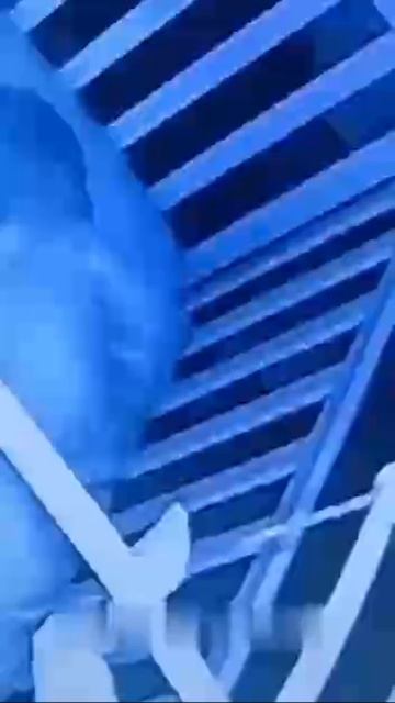 На  видеоняню было снято зловещее и оно взаимодействует с ребенком