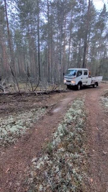ToyoAce-  трелевочник. Тойота может все!