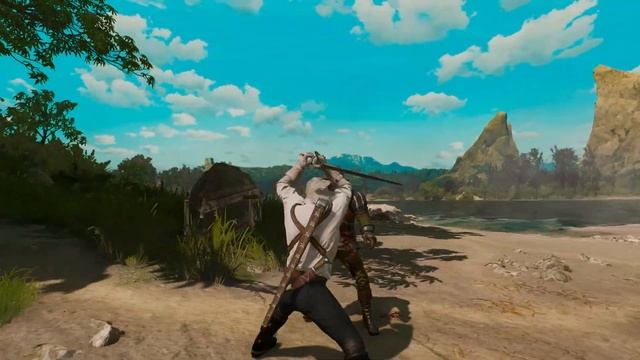Жестокий бой в Тусенте The Witcher 3
