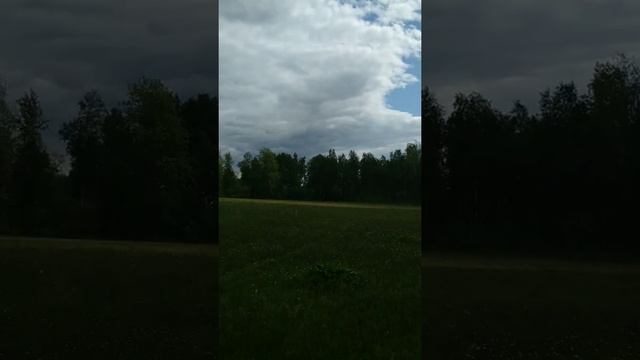 За грибами, тихая охота.