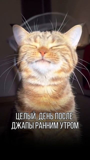 Поддерживаем вас Юмором каждый день!