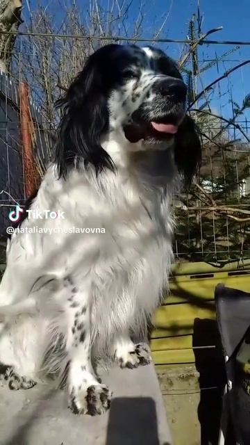 Хорошая новость...)))