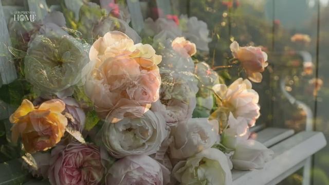 САДЫ БРИТАНИИ.  РОЗОВЫЙ КОТТЕДЖНЫЙ САД С ЭЛЕГАНТНОЙ МУЗЫКОЙ