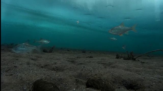 Рыбалка Братское водохранилище Молька подледная съемка ловли рыбы 19.02.16 ч.6