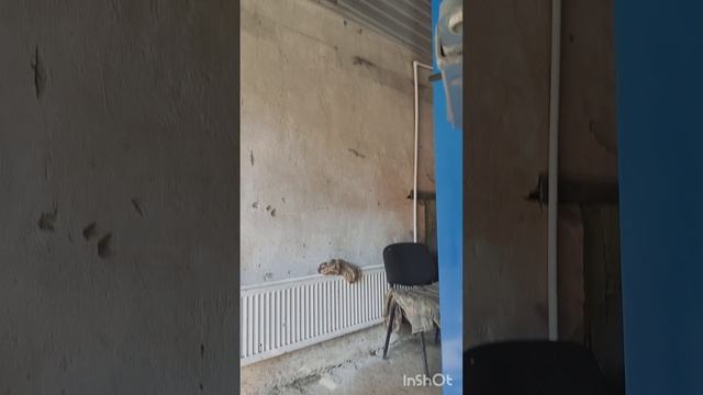 Гранта быстрая замена сайлентблоков балки