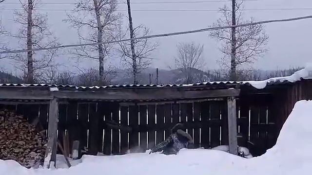 Сальто мортальто.