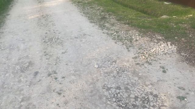 Наследственность дело хорошее Bublikbul43