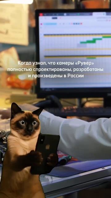 Мяу-контролер в Рувер😸