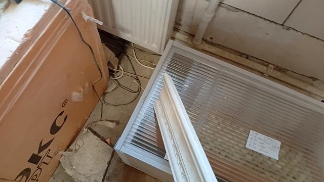 Маленькие перепелята, убираем ниточки с ножек. 4.06.25