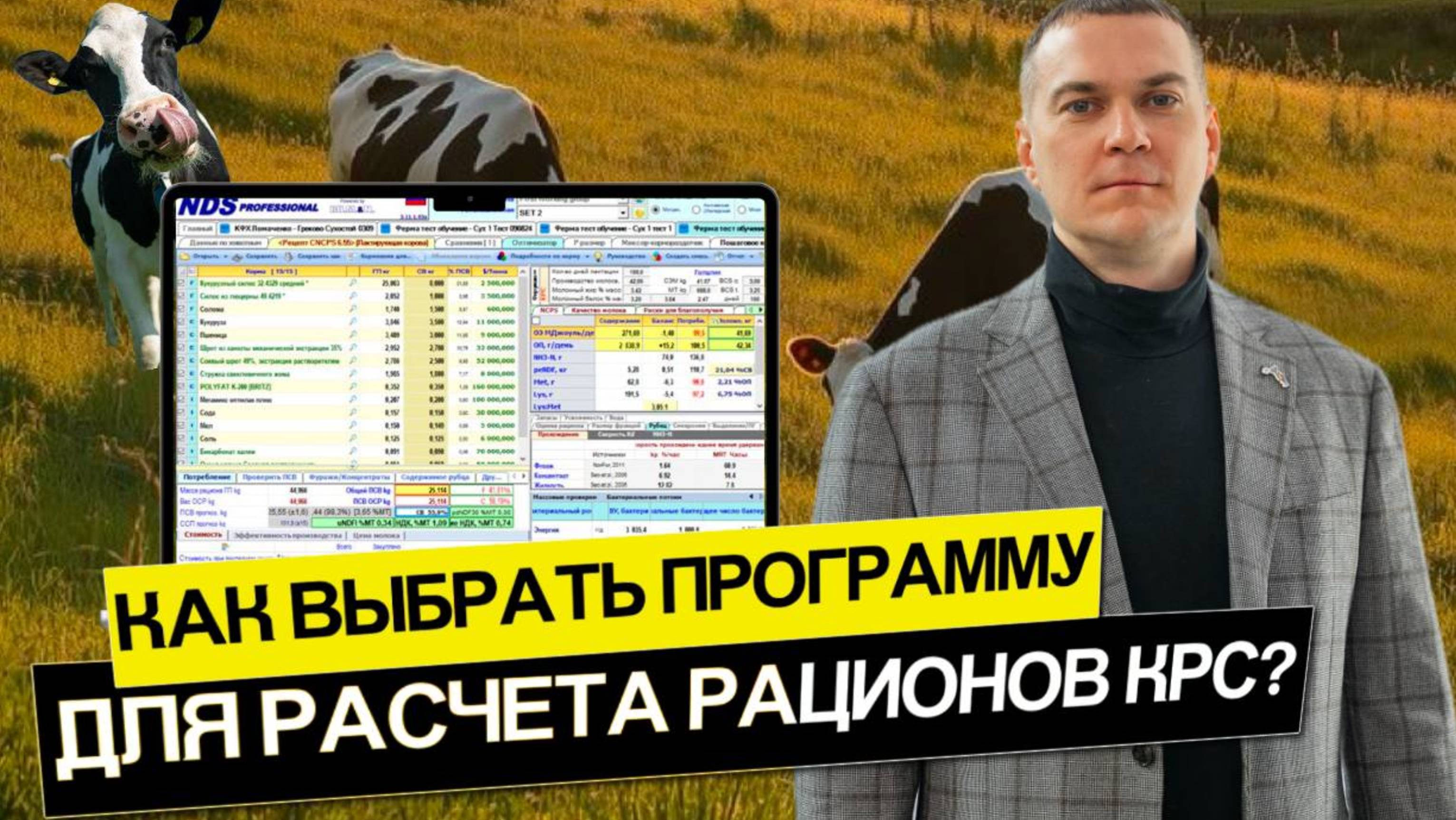 Как выбрать программу для расчета рационов КРС?