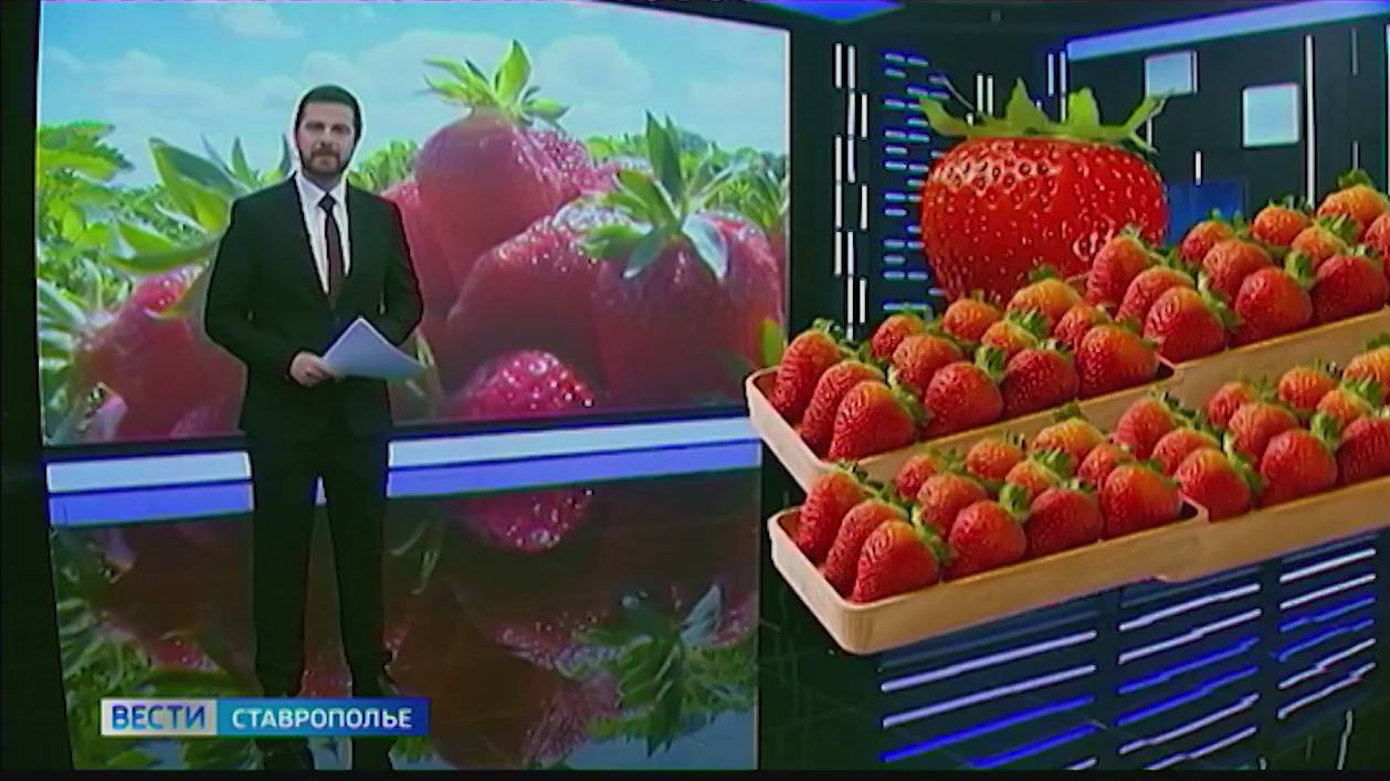 На Ставрополье подешевела клубника