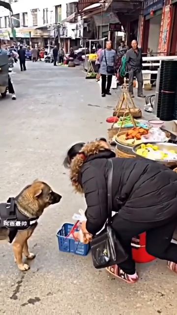 За покупками 🐕❤️🥰