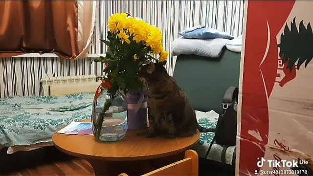 Жизнь