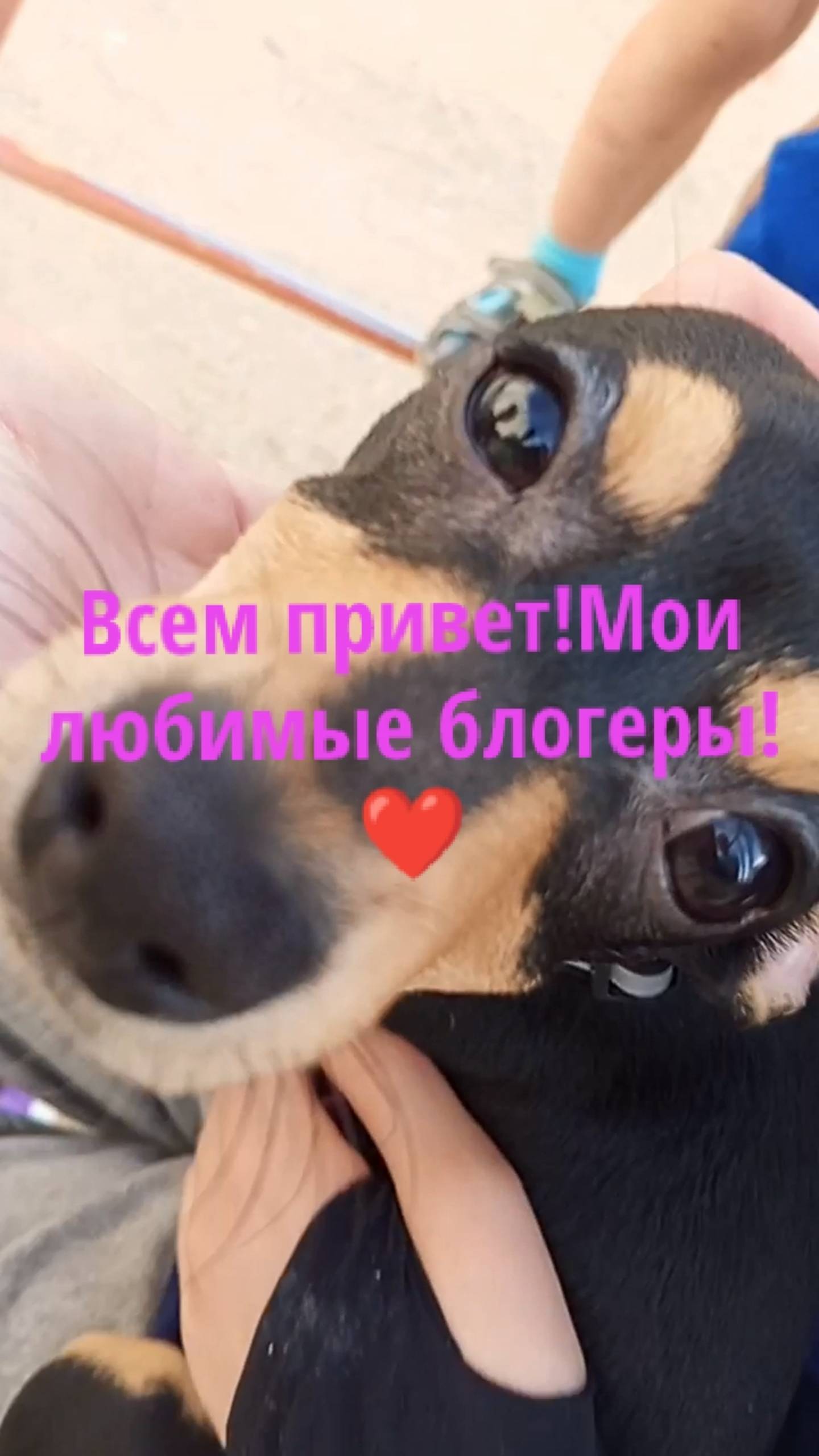 Мои любимые блогеры! 🧡🧡❤😘😈😈