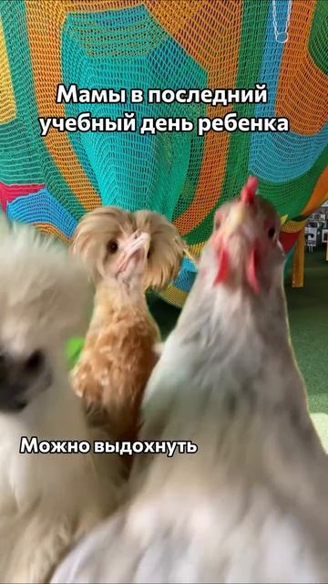 Мамы в последний день учебы ребенка