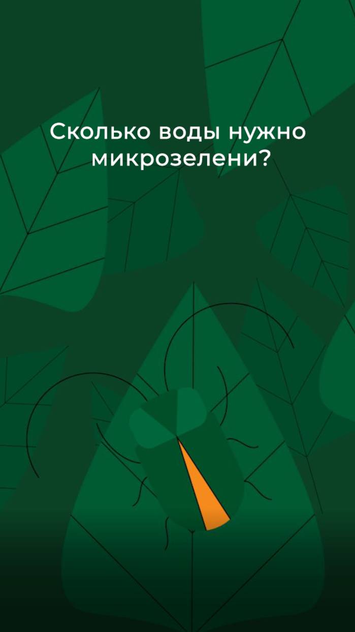 Сколько воды нужно микрозелени?