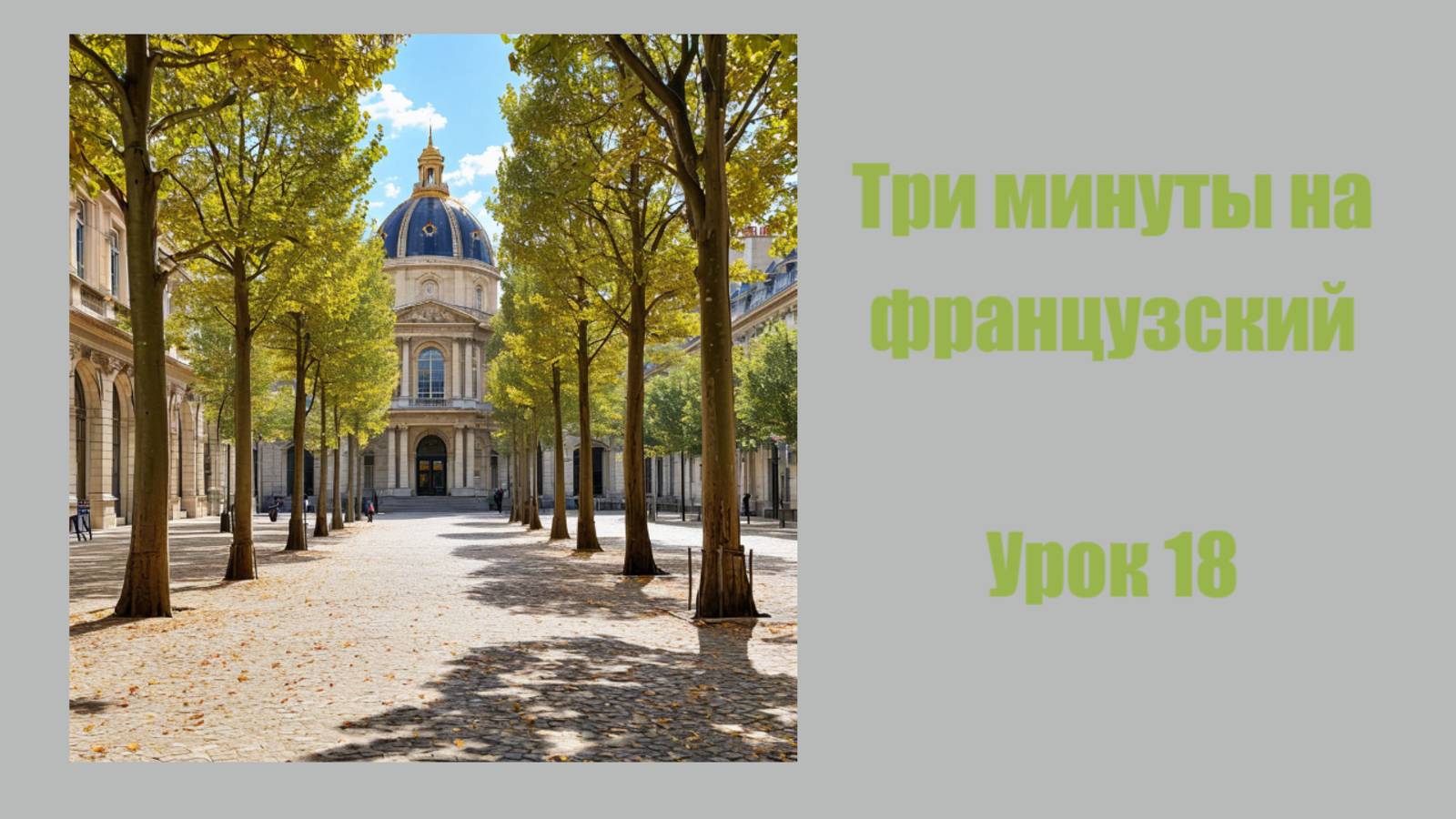 Три минуты на французский, урок 18, имя существительное, детерминативы, артикль, суффиксы